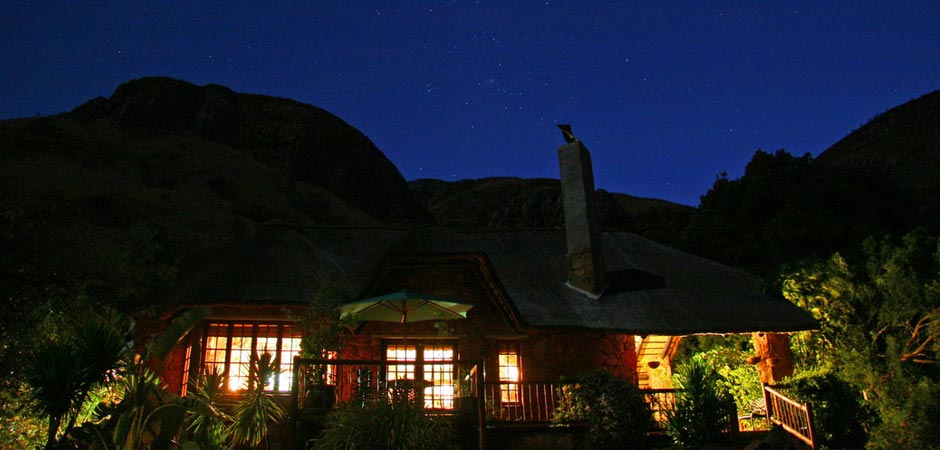 Forest Creek Lodge Night Sky