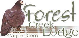 Forest Creek Logo